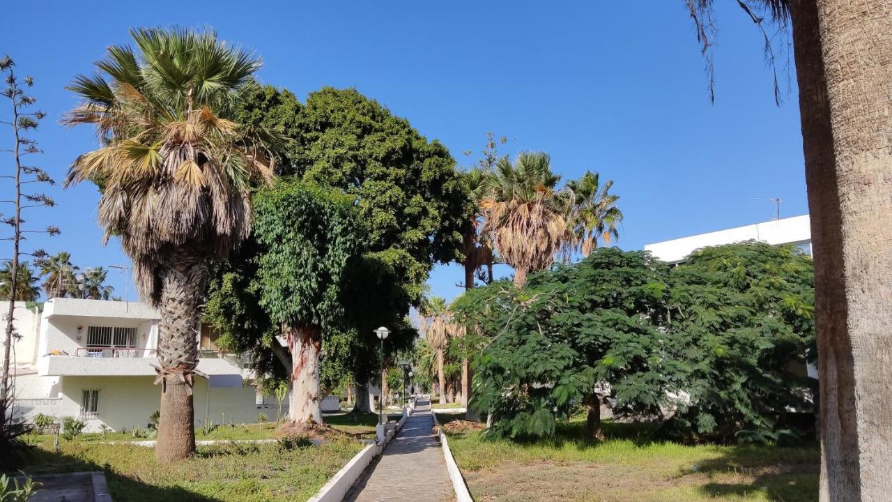 Marysol - Lovely Studio Tenerife Sur Arona  Εξωτερικό φωτογραφία