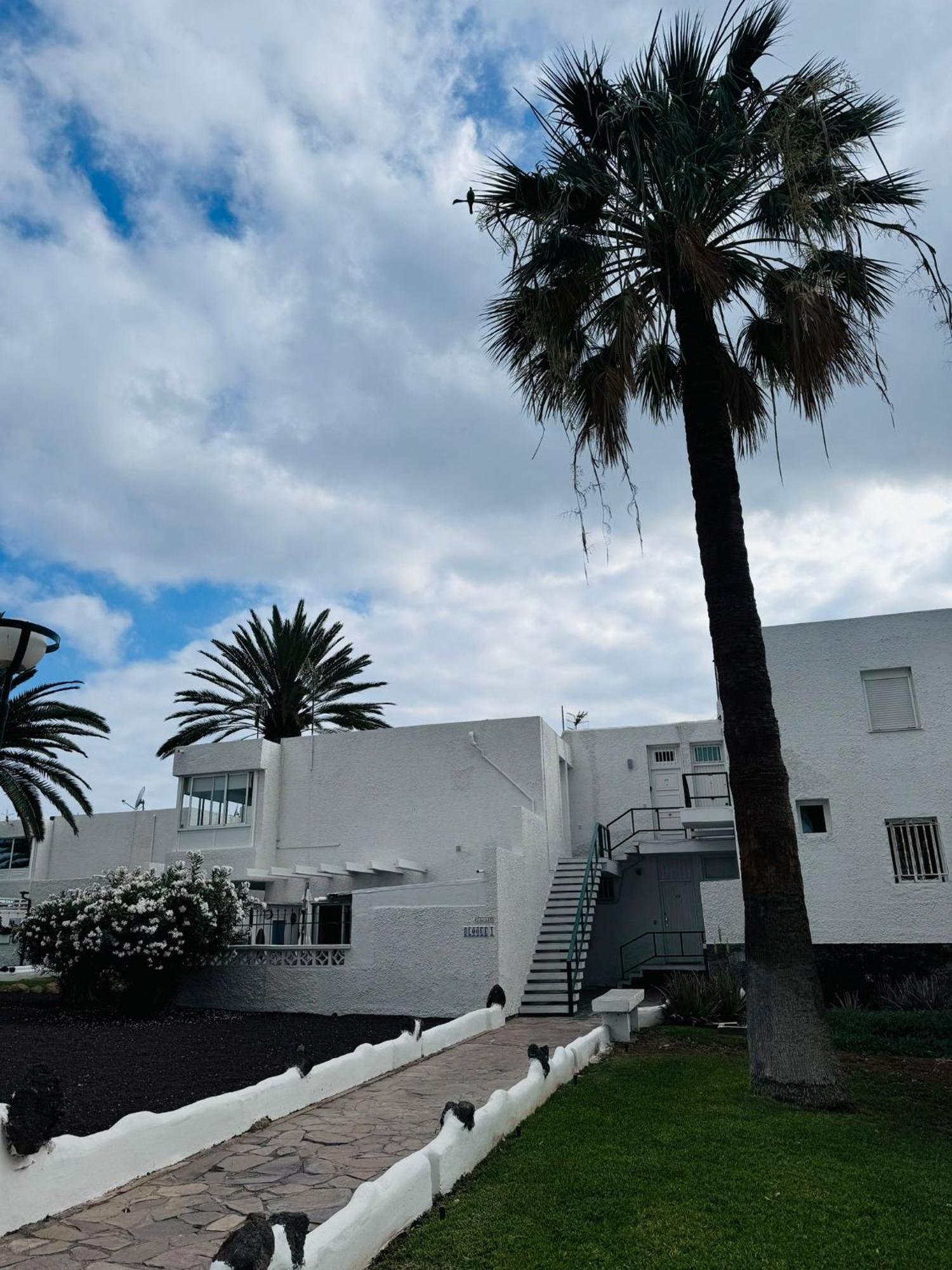 Marysol - Lovely Studio Tenerife Sur Arona  Εξωτερικό φωτογραφία