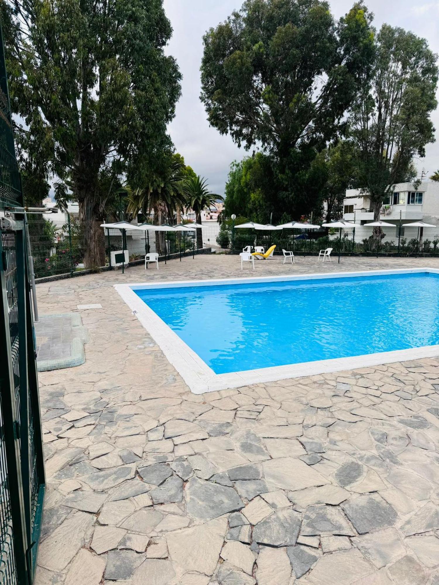 Marysol - Lovely Studio Tenerife Sur Arona  Εξωτερικό φωτογραφία